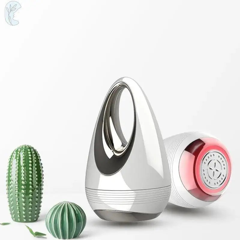 Ion Electric Massager - Aevanti